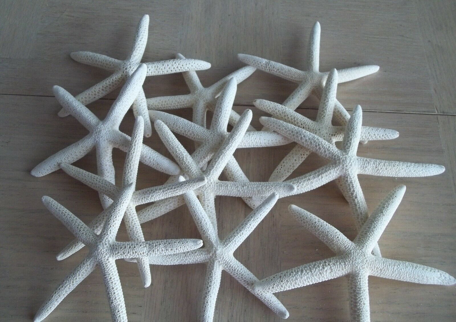 12 White Finger Starfish 1 Dozen Size 4"- 5" Beach Wedding Nautical Decor 12f4-5